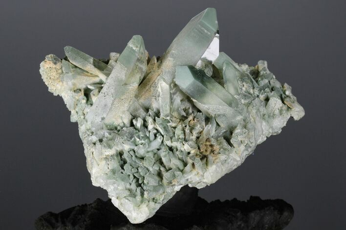 Chlorite Included Quartz Crystal Cluster - Baluchistan, Pakistan #175089